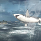 Image for article titled Kotaku 'Shop Contest: Hide The Megalodon: The Winners!